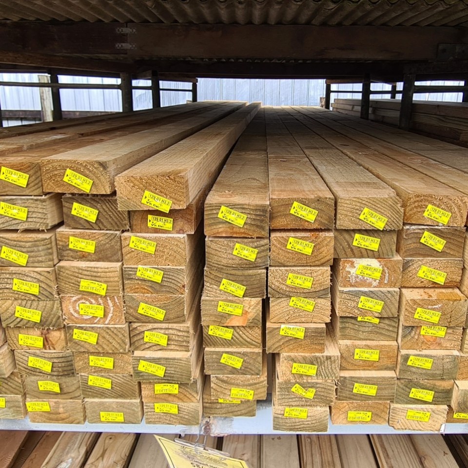 NEW 100 x 50 H3 Treated Pine Timber $6.50 p/m
