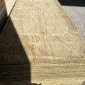 *PACK LOT* 12mm Downgrade H3.2 Treated Plywood 2700 x 1200 $59p/s