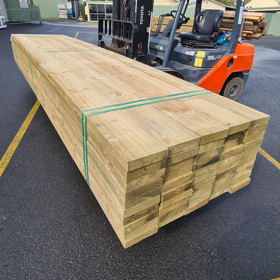 *PACK LOT* NEW 200 x 50 H4 Treated Non-Structural RS Timber $10.50 p/m